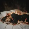 После меня