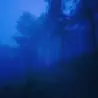 Dream escape