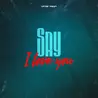 Say I Love You